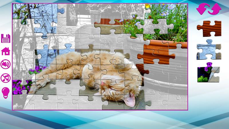 Big puzzles with cats ภาพหน้าจอ 2