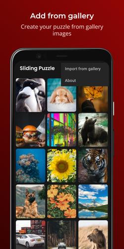 Sliding Puzzle Ảnh chụp màn hình 3
