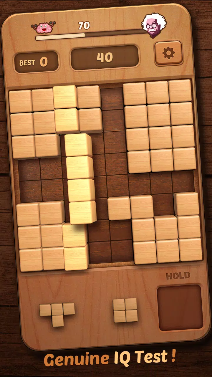 Wood Block Puzzle 3D Ảnh chụp màn hình 3