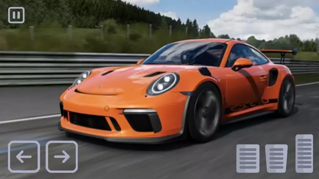 Racing Porsche Carrera 911 GT3 Screenshot 0