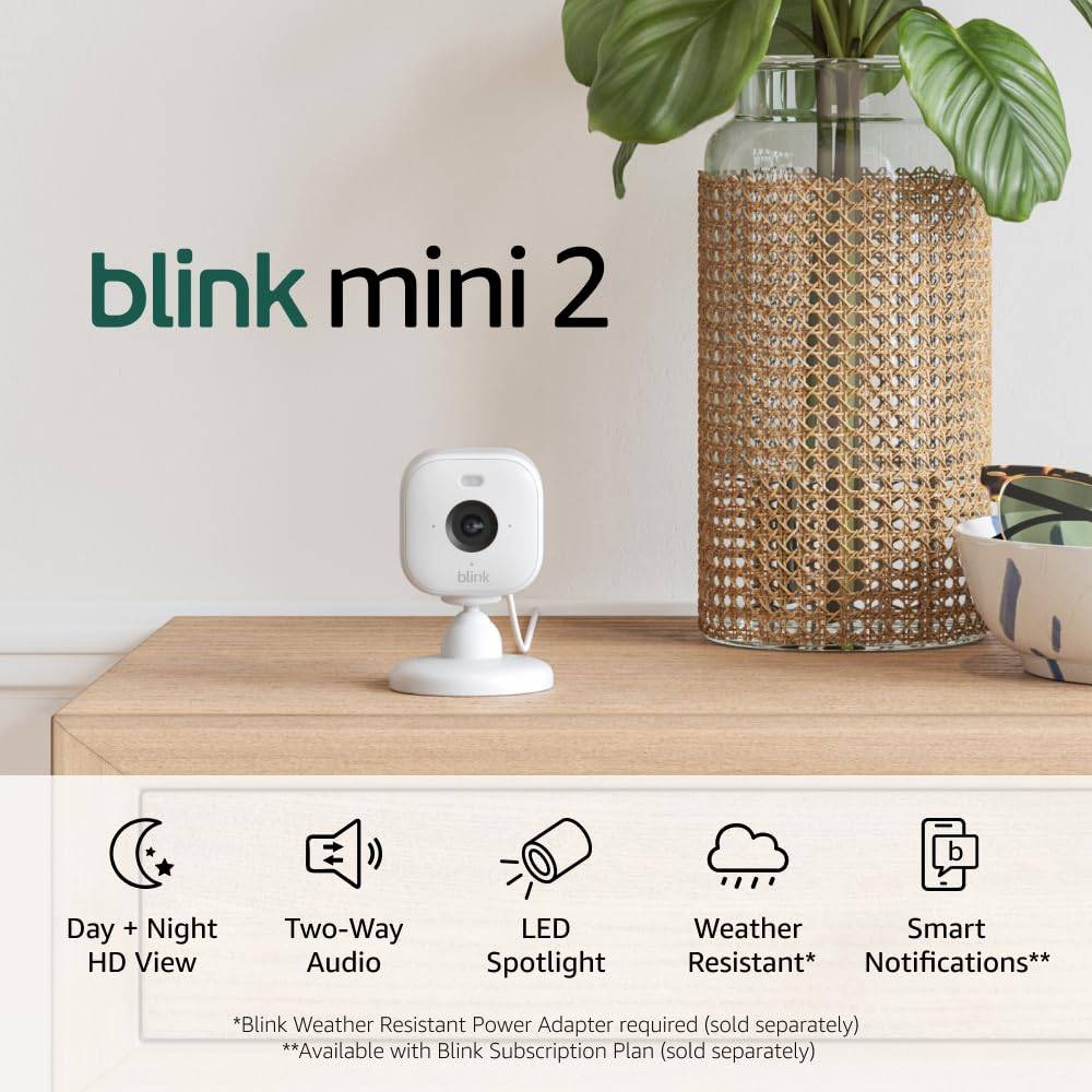 Blink Mini 2 (en yeni model)