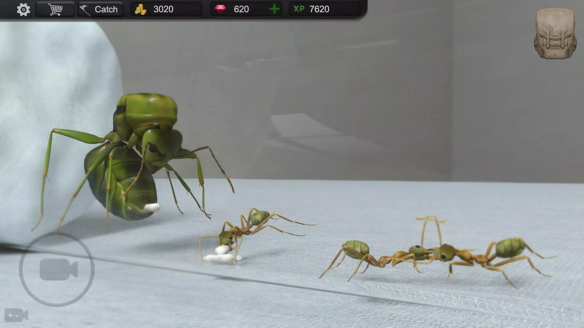 Ant Sim Tycoon Ekran Görüntüsü 0
