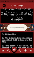 The Holy Quran and its Meaning Screenshot 3