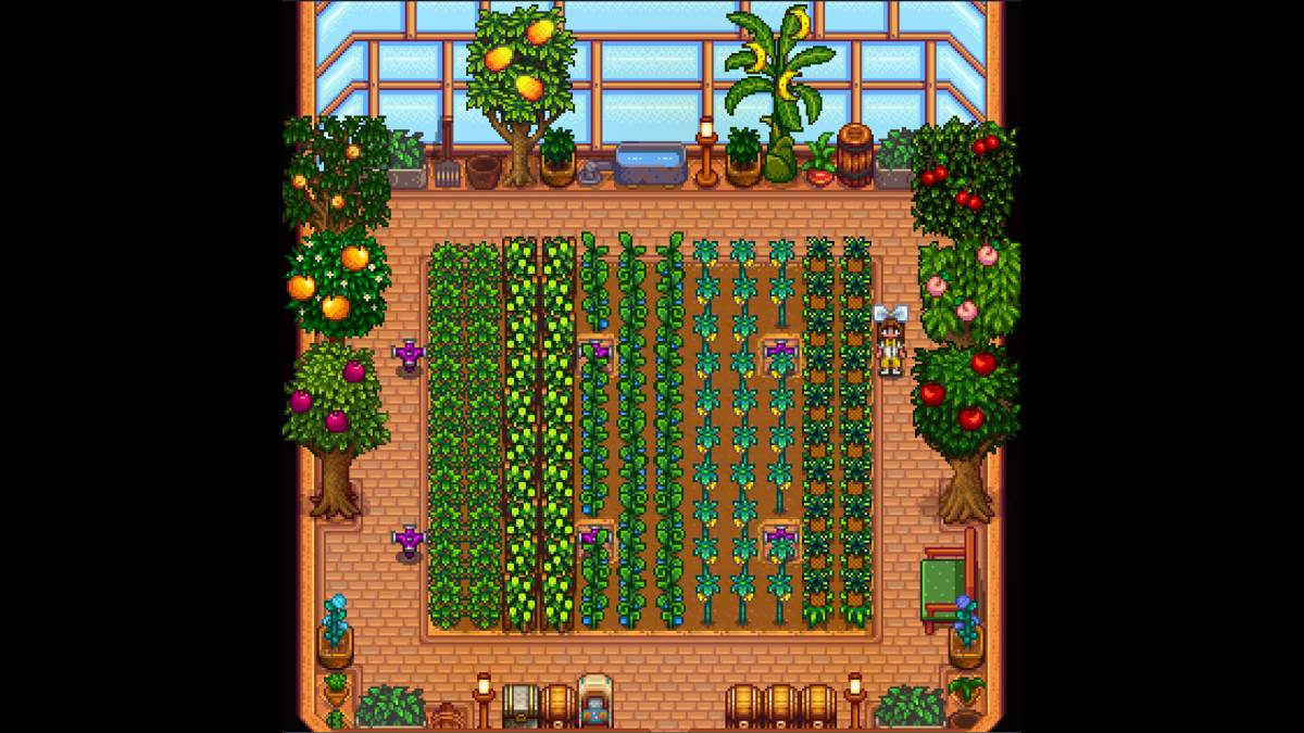 Combien de plantes la serre peut-elle tenir dans la vallée de Stardew?