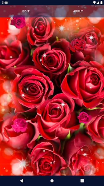 Red Rose Live Wallpaper Schermafbeelding 1