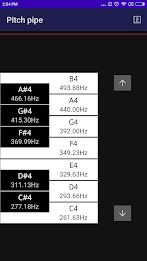 CarlTune - Chromatic Tuner Capture d'écran 2