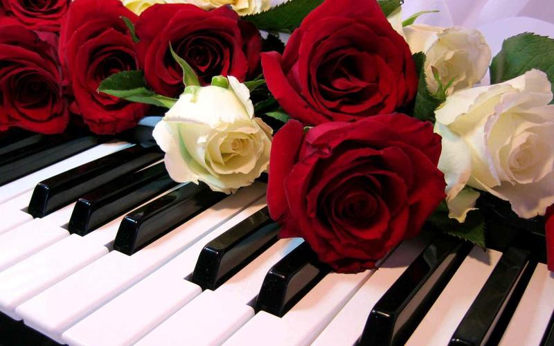 Roses Jigsaw Puzzles Captura de tela 0