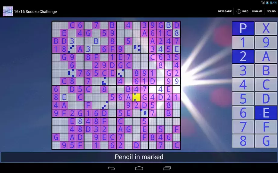 16x16 Sudoku Challenge HD ဖန်သားပြင်ဓာတ်ပုံ 2