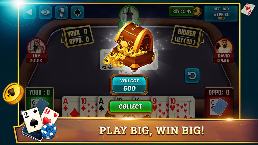 29 Card Game Plus Ảnh chụp màn hình 2