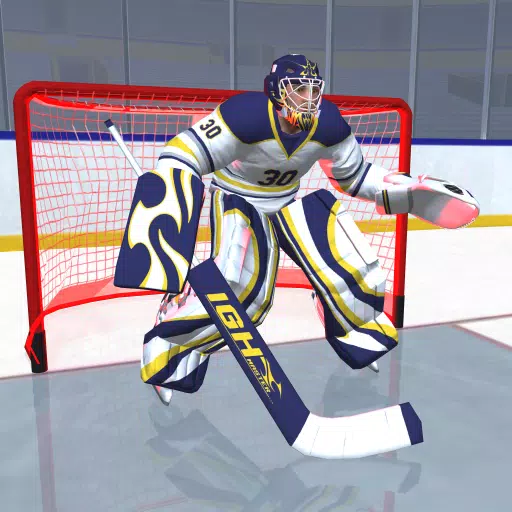 Hockey Game Stars 3D