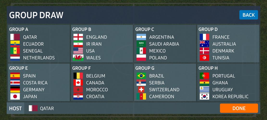 Schermata World Football Simulator 1