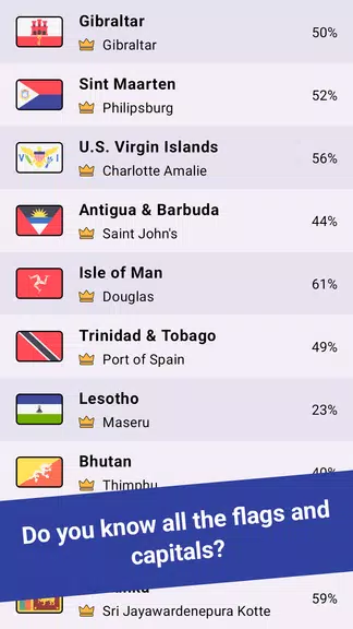 Geomi — Flags & Countries Tangkapan skrin 2