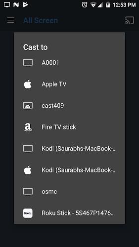 All Screen Cast to TV Roku Ekran Görüntüsü 2