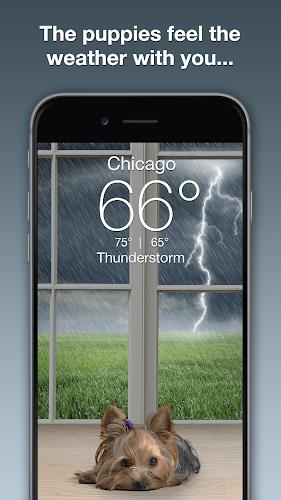 Weather Puppy - App & Widget Screenshot 1