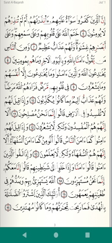 Quran Warsh قرآن قراءة ورش Schermafbeelding 0