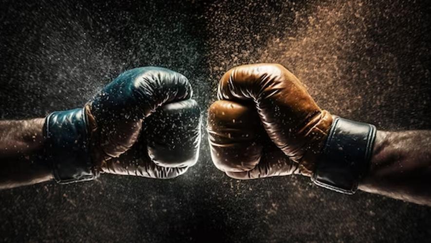 Mr zelgha fight city স্ক্রিনশট 1