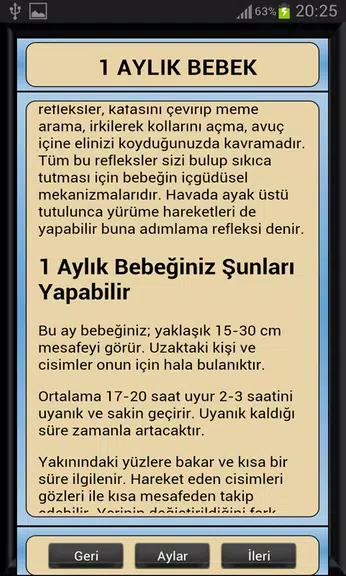 Bebek Gelişimi Ay Ay Detaylı應用截圖第2張