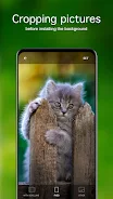 Fondos de pantalla con gatitos Captura de pantalla 3