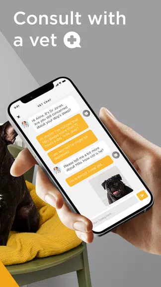 Petcube Capture d'écran 3
