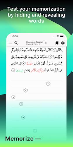 Tarteel: Quran Memorization Screenshot 3