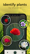 Nature Detect - Plant Identify ဖန်သားပြင်ဓာတ်ပုံ 1