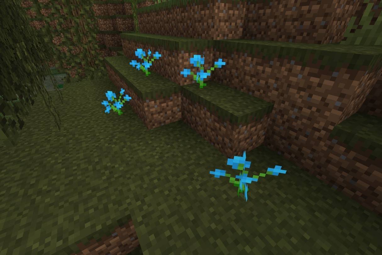 Orquídea azul