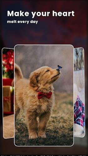 Puppy Love: Cute Dog Wallpaper Tangkapan skrin 2