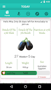 Pregnancy Week By Week Tangkapan skrin 0