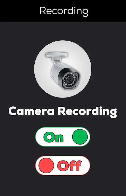 Schermata CCTV Camera Recorder 0