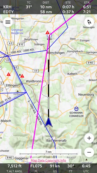 Enroute Flight Navigation Schermafbeelding 0