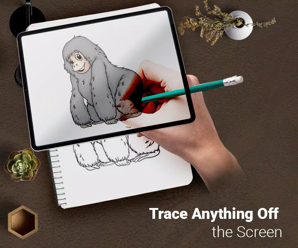 Draw : Trace & Sketch Capture d'écran 0