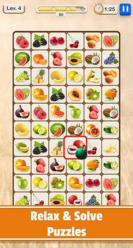 Tilescapes Match ဖန်သားပြင်ဓာတ်ပုံ 1