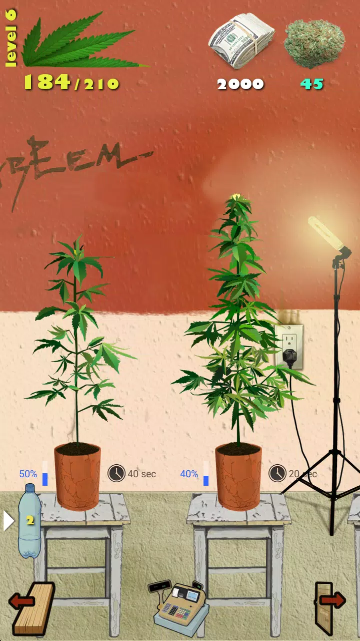 Weed Firm ဖန်သားပြင်ဓာတ်ပုံ 1