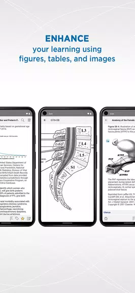 Gynecology and Obstetrics Captura de pantalla 1