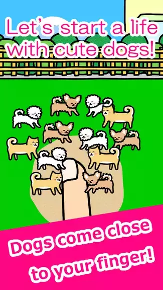 Play with Dogs - relaxing game स्क्रीनशॉट 0