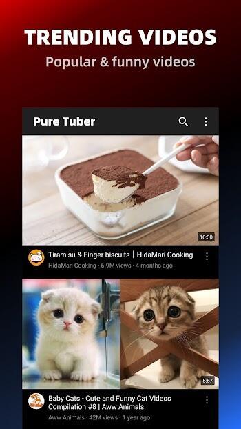 Pure Tuber: видео и музыка Скриншот 0