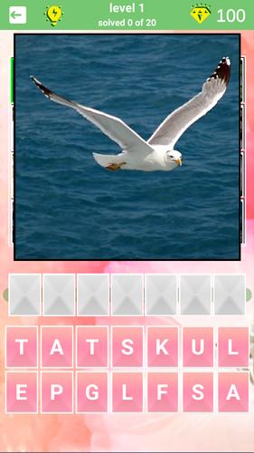 800 words Captura de tela 3