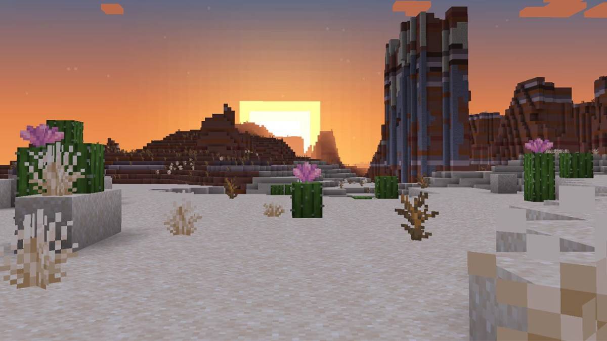 Minecraft အတွက် cactus ပန်းပွင့်။