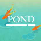 Pond - Save the little carp