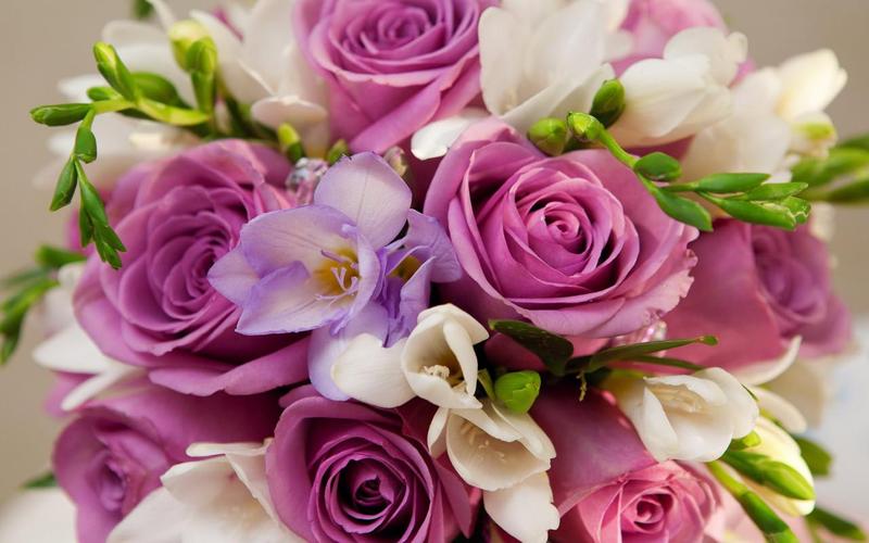 Roses Jigsaw Puzzles Captura de tela 1