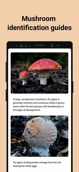 Picture Mushroom - Mushroom ID Скриншот 3