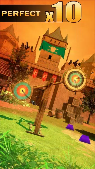 Archery Shooting ภาพหน้าจอ 0
