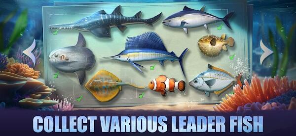 Top Fish: Ocean Game Schermafbeelding 2