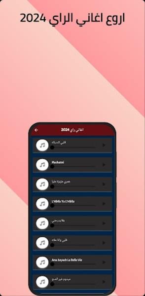 اغاني الراي 2024应用截图第3张