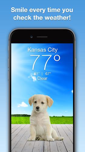 Weather Puppy - App & Widget Screenshot 0