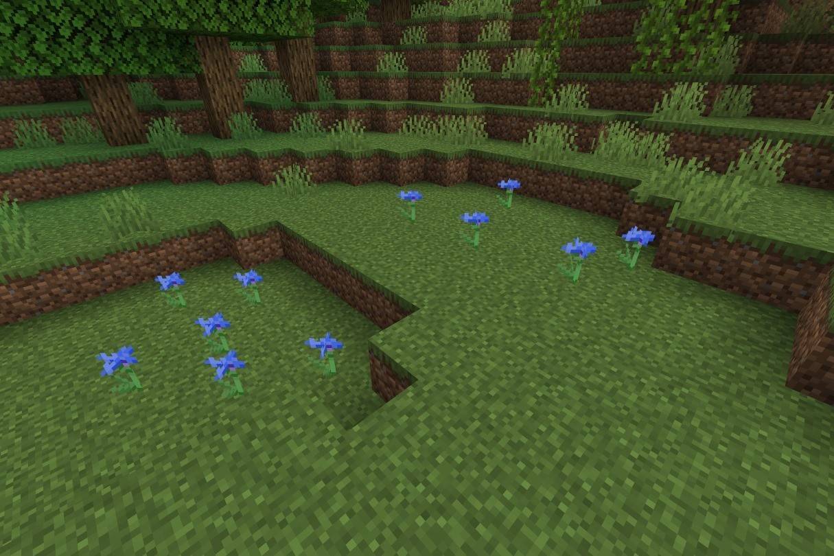 Florecimiento de maíz
