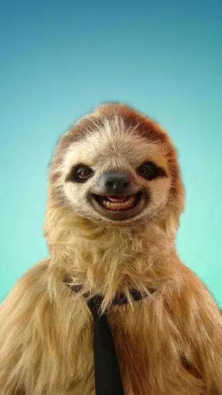 Sloth Wallpapers Tangkapan skrin 0