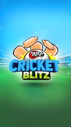 WCC Cricket Blitz Screenshot 0