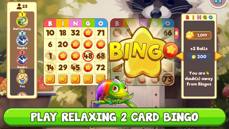 Bingo:  Free the Pets スクリーンショット 1