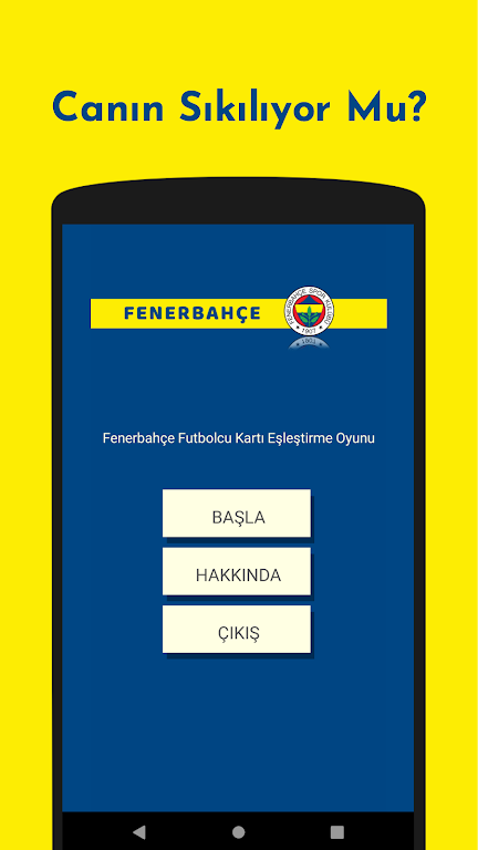 Fenerbahçe Futbolcu Kart Eşleştirme Oyunu应用截图第0张